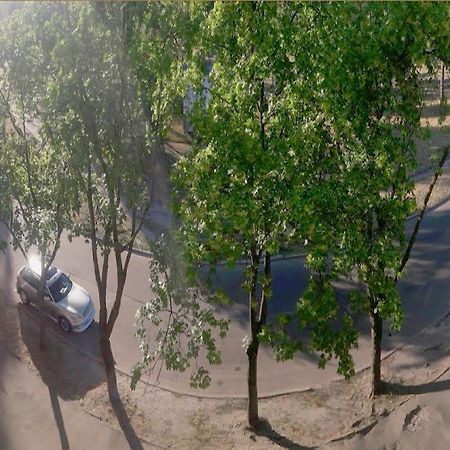 Однокомнатная Квартира На Улице Попудренко 키예프 외부 사진